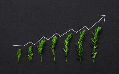 How To Drive Organic Growth In Your Business
