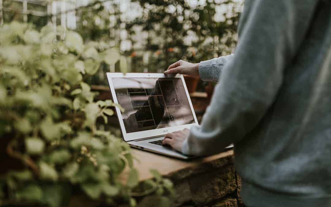 small business web design